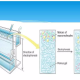 Nucleic Acid Electrophoresis