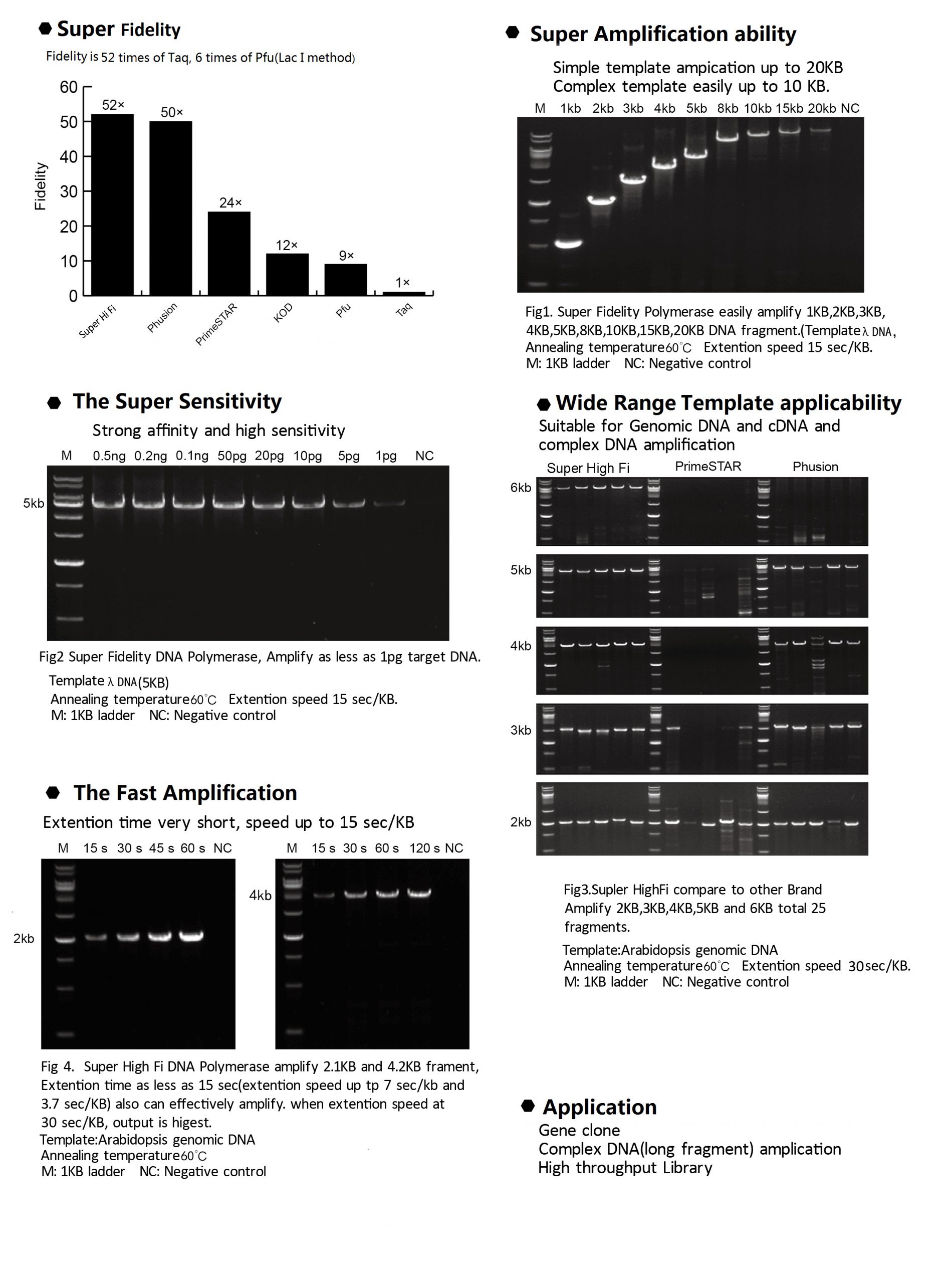 Super-Fidelity-polymerase