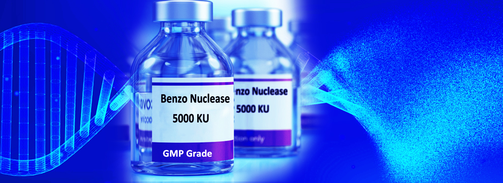 Benzo Nuclease, Benzonase