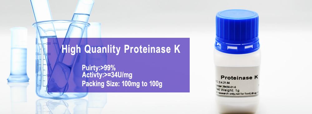 PK01, Proteinase K