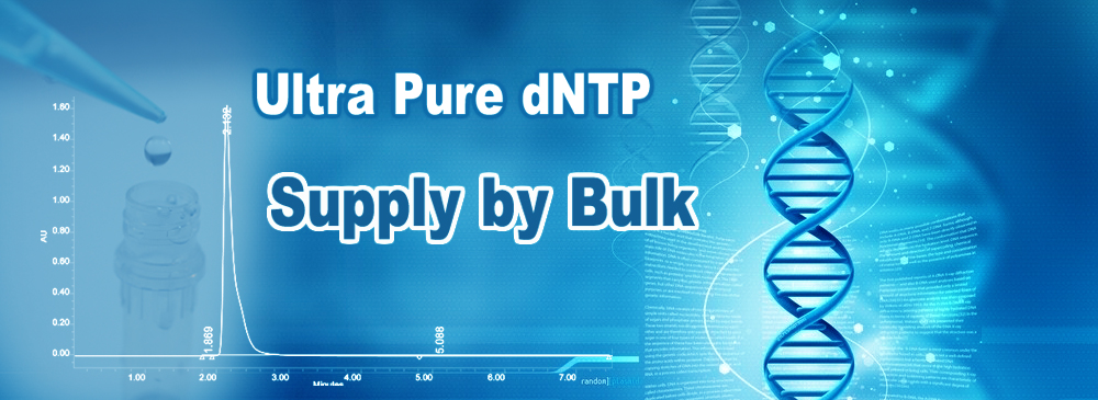 dntp, datp, dgtp, dctp, dttp; ntp, atp, gtp, ctp, utp.