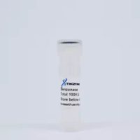 BE03, Benzonase Lyophilized Powder