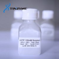 D1331 dATP 100mM 25ml