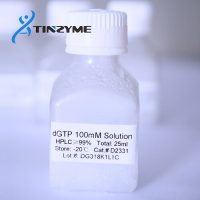 D2331 dGTP 100mM 25ml