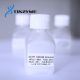 D3331 dCTP 100mM 25ml