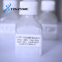 D4331 dTTP 100mM 25ml
