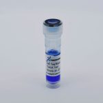 2x E Taq Master mix, with blue dye