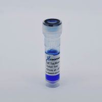 2x E Taq Master mix, with blue dye