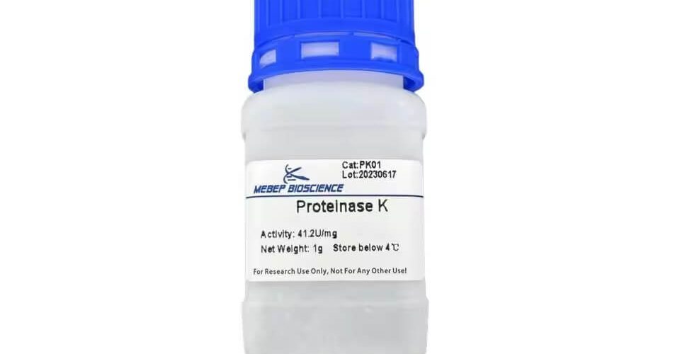 PK01, Proteinase K Powder