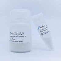 RP101, Recombinant Human Albumin, 400