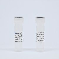 RT5060, ThermoPlus M-MLV Reverse Transcriptase (RNase H-)