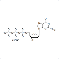 dgtpas Molecular Structure Diagram