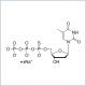 dttpas Molecular Structure Diagram