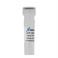 r1331 atp 100mm